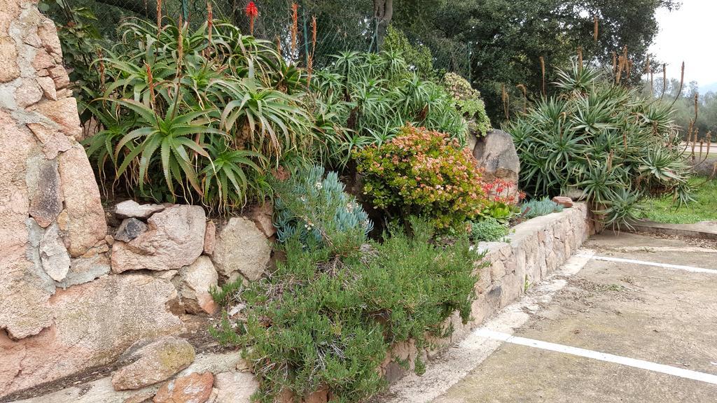 Corsica Hostel Porto-Vecchio, Partie Dortoirs エクステリア 写真
